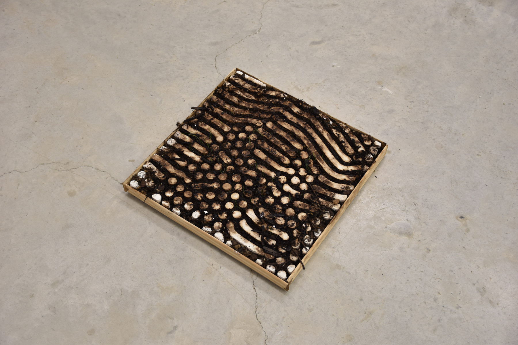 Profiler, Exploring: AATB Kinetic situations that challenge (Fig. 11)