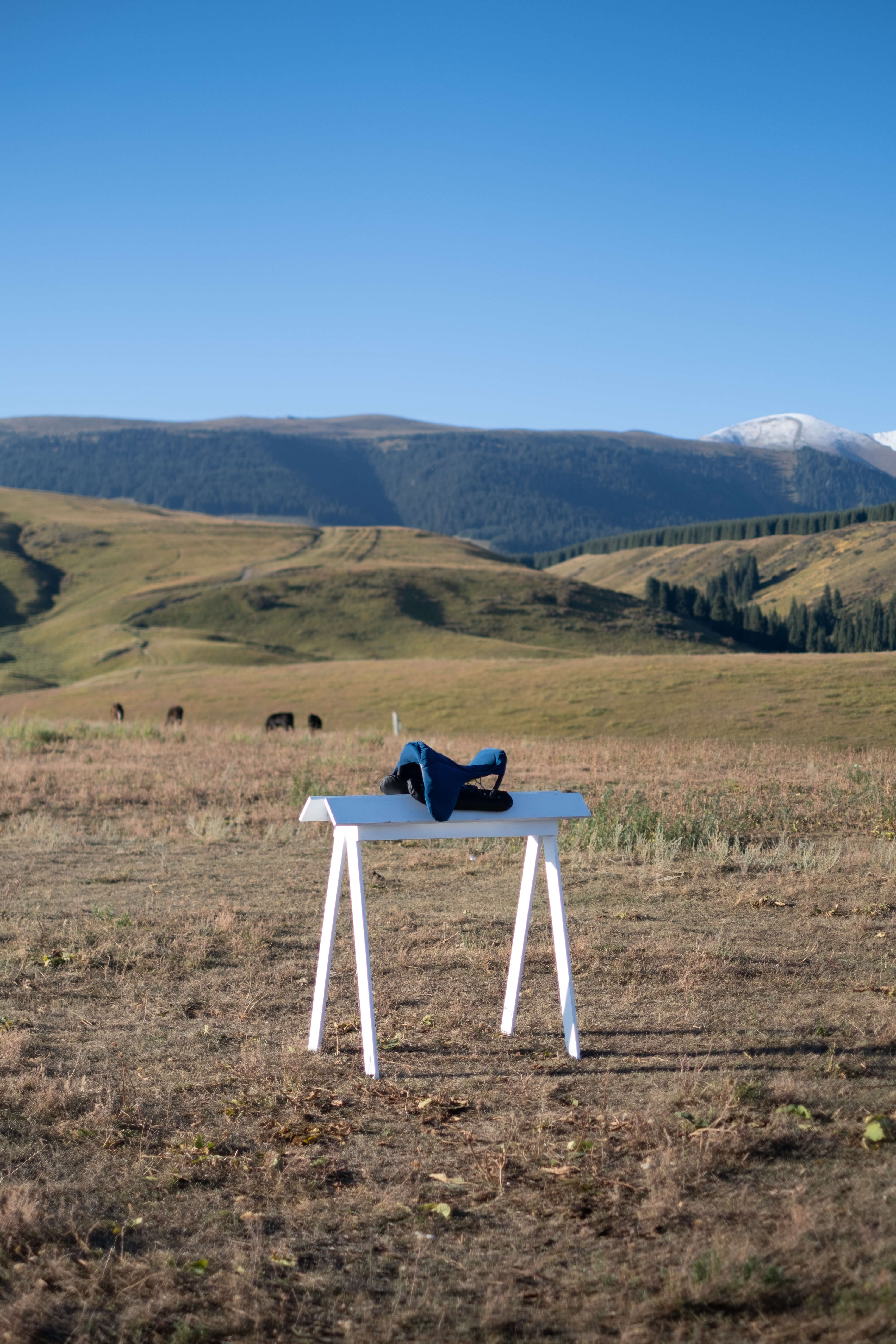 Profiler, Reading: Cross Cultural Chairs Colonization of the act of sitting (Fig. 26)