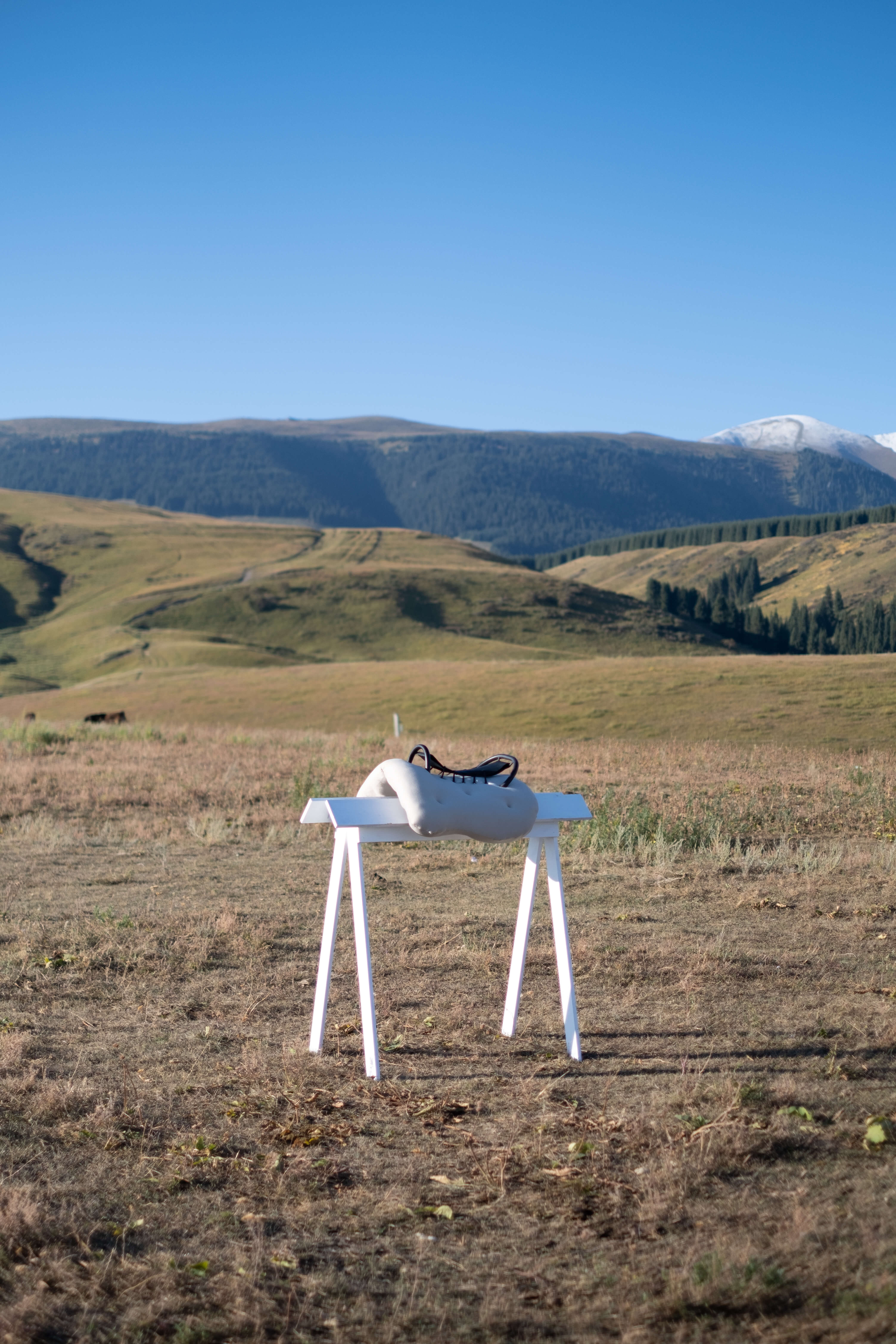 Profiler, Exploring: Cross Cultural Chairs Colonization of the act of sitting (Fig. 27)