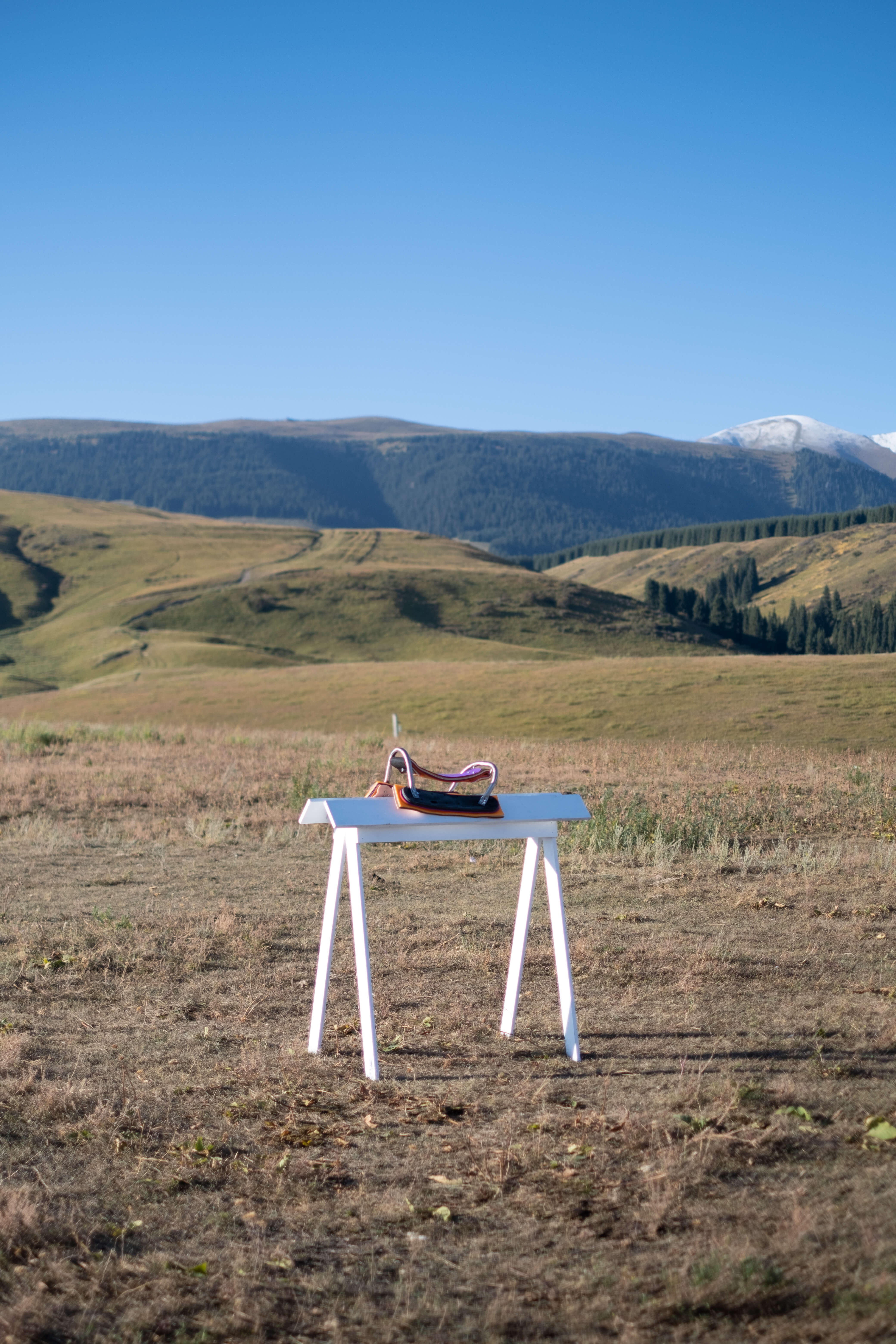 Profiler, Exploring: Cross Cultural Chairs Colonization of the act of sitting (Fig. 29)