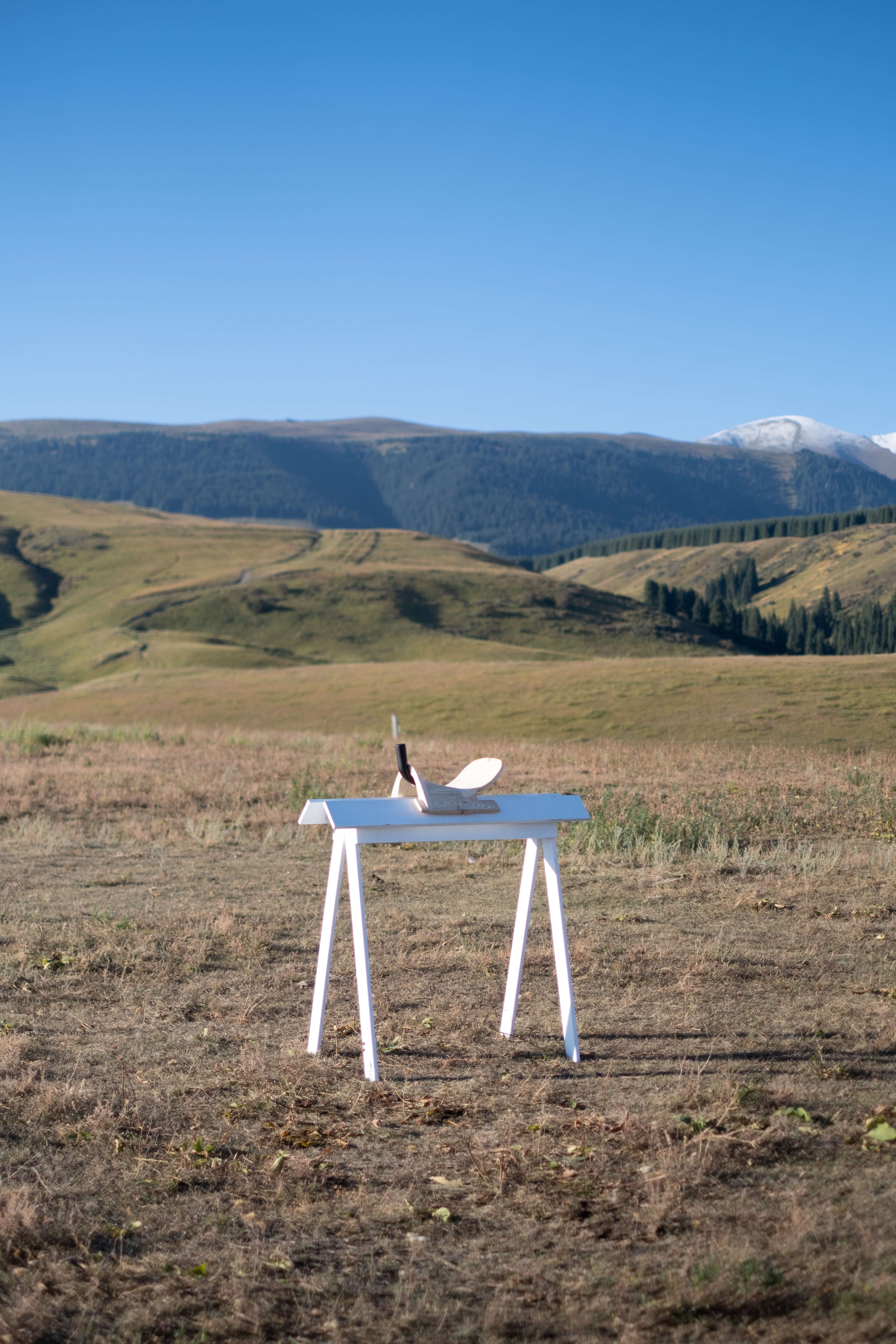 Profiler, Exploring: Cross Cultural Chairs Colonization of the act of sitting (Fig. 30)