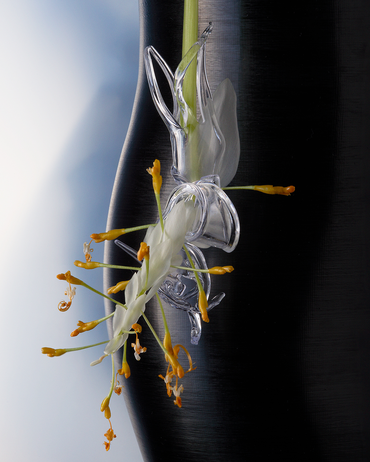 Profiler, Exploring: TechCraft in dialogue with Noelani Rutz (Fig. 2)