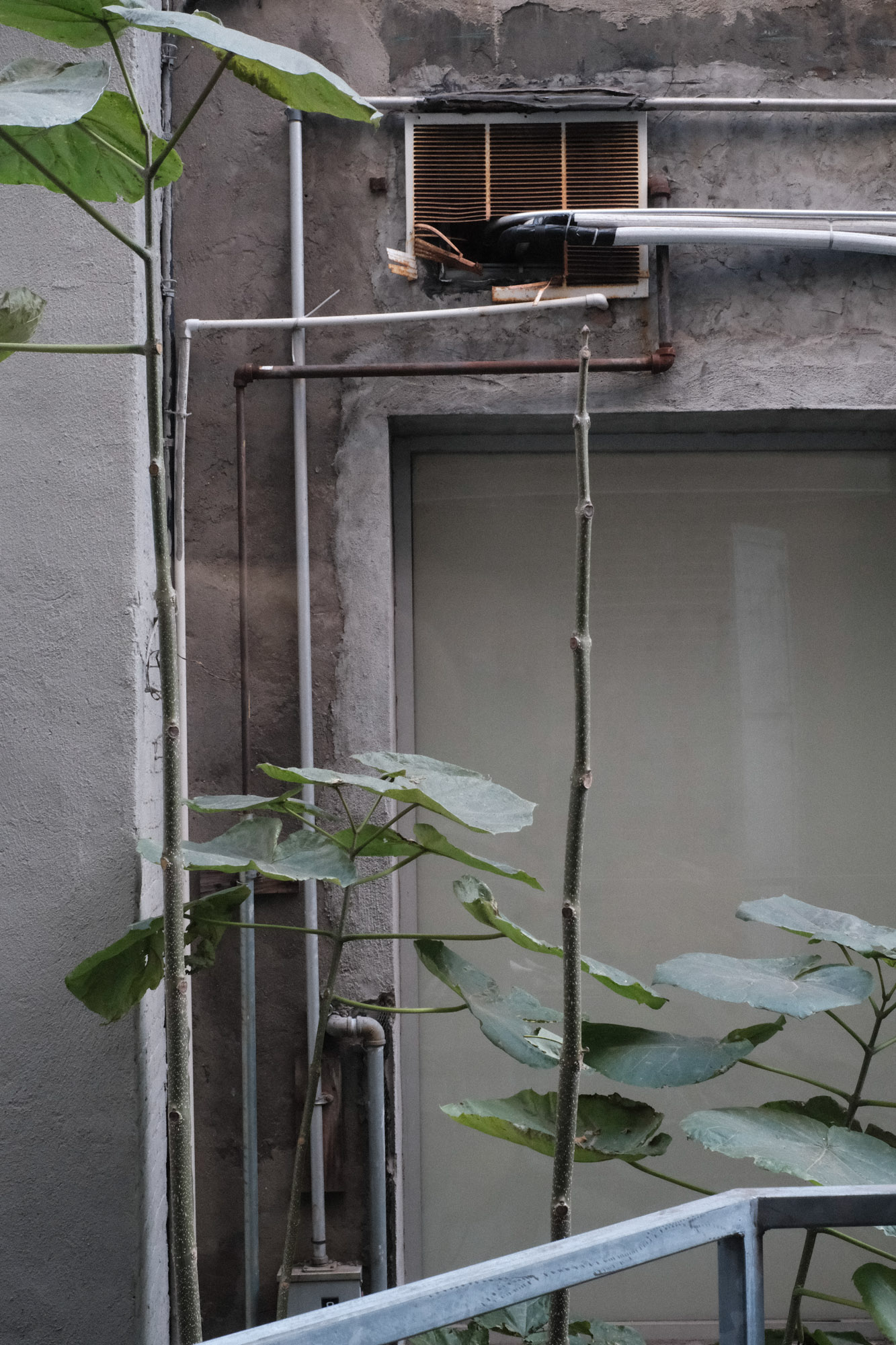 Profiler, Reading: USM × OJAS Listening Room (Fig. 12)